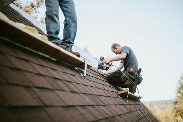 Best Flat Roof Repair Services  in Waialua, HI