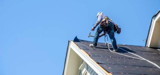 Best Residential Roofing Contractor  in Waialua, HI
